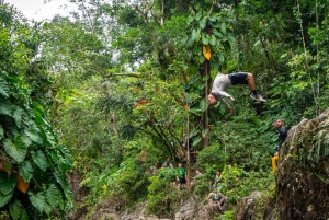 Vanuit San Juan: El Yunque Regenwoud & Luquillo Kiosken Tour