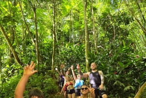 Vanuit San Juan: El Yunque Regenwoud & Luquillo Kiosken Tour