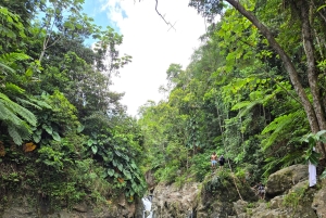 Vanuit San Juan: El Yunque Regenwoud & Luquillo Kiosken Tour
