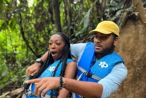 Från San Juan: El Yunque regnskogstur med vattenrutschbana