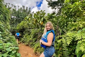 Från San Juan: El Yunque regnskogstur med vattenrutschbana