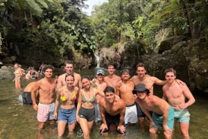Från San Juan: El Yunque regnskogstur med vattenrutschbana