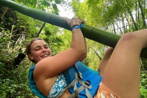 From San Juan: El Yunque Rainforest Waterslide Transport