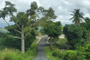 From San Juan: El Yunque Waterfall Hiking and Cliff Jumping