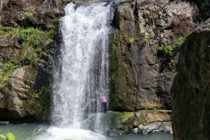 From San Juan: El Yunque Waterfall Hiking and Cliff Jumping