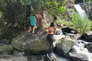 From San Juan: El Yunque Waterfall Hiking and Cliff Jumping