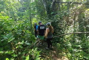 From San Juan: El Yunque Waterfall Hiking & Cliff Jumping