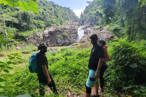 From San Juan: El Yunque Waterfall Hiking & Cliff Jumping