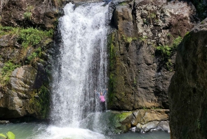 From San Juan: El Yunque Waterfall Hiking & Cliff Jumping
