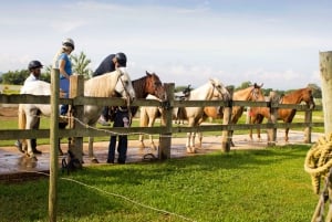 From San Juan: Horse Riding at a Private Ranch