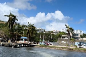 From San Juan: Transportation & Boat to Icaco, Drinks & Food