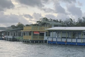 From San Juan: La Parguera Glowing Bio Bay Boat Tour