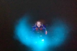 From San Juan: La Parguera Glowing Bio Bay Boat Tour