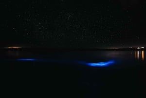 From San Juan: La Parguera Glowing Bio Bay Boat Tour