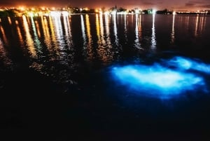 From San Juan: La Parguera Glowing Bio Bay Boat Tour