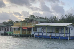 From San Juan: La Parguera Glowing Bio Bay Boat Tour