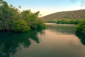 From San Juan: Bioluminescent Bay Boat Tour and Hot Springs