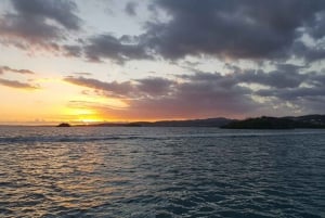 From San Juan: Bioluminescent Bay Boat Tour and Hot Springs