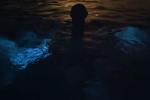 From San Juan: Bioluminescent Bay Boat Tour and Hot Springs