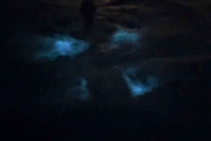 From San Juan: Bioluminescent Bay Boat Tour and Hot Springs