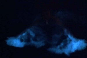 From San Juan: Bioluminescent Bay Boat Tour and Hot Springs