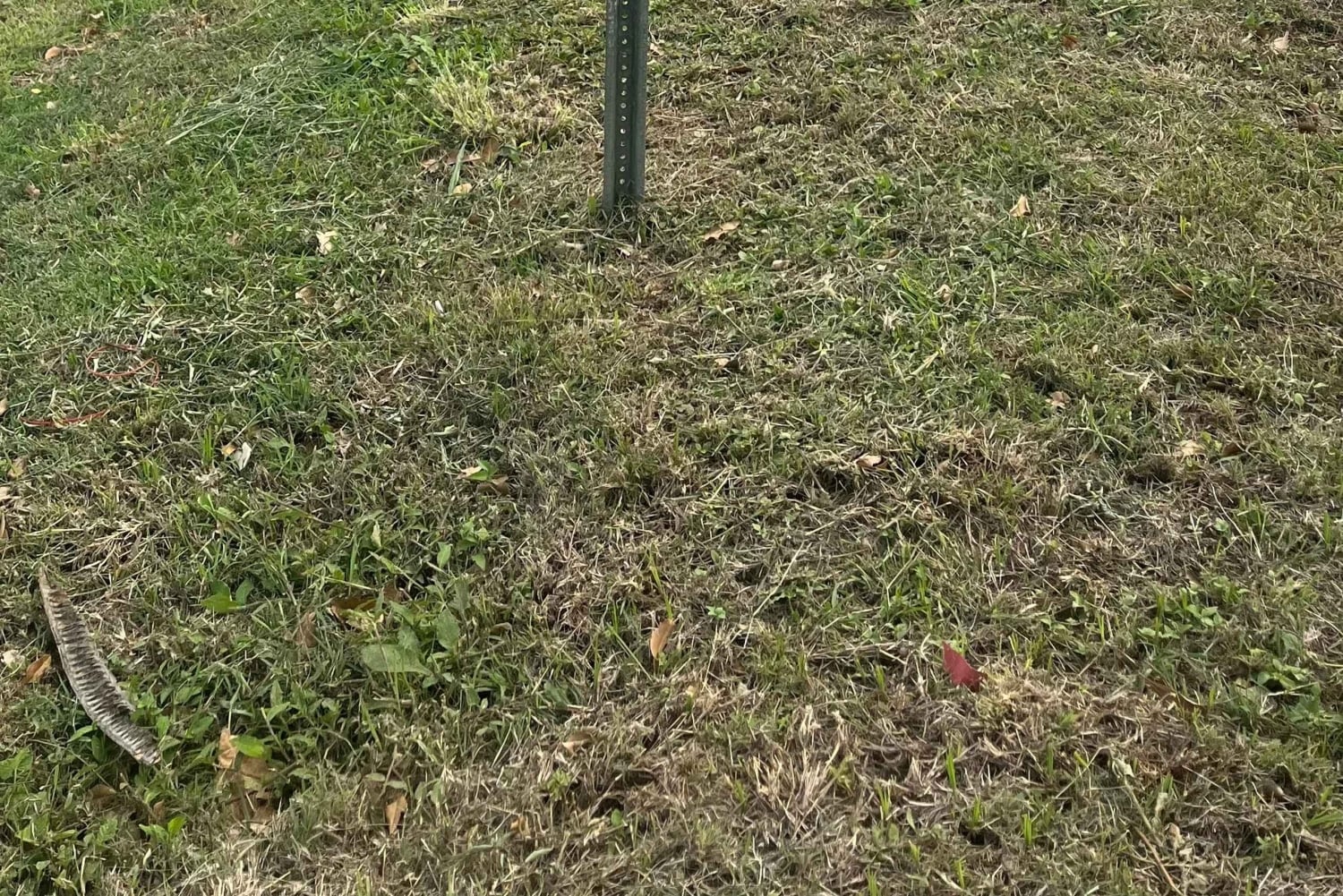Desde San Juan: Traslado privado a la terminal de ferry de Ceiba