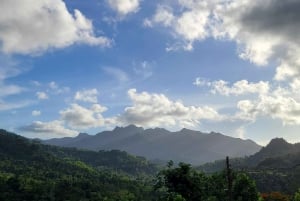From San Juan: Rainforest & Luquillo day trip