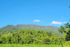 Desde San Juan: Excursión de un día a la Selva Tropical y Luquillo