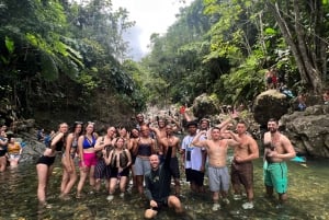 Depuis San Juan : Excursion d'une journée dans la forêt tropicale et à Luquillo