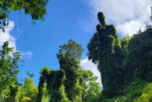 From San Juan: El Yunque Rainforest & Luquillo kiosks Tour