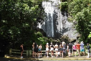 Z San Juan: spacer po lesie deszczowym, kąpiel w przyrodzie i plaża Luquillo