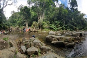 From San Juan: Rainforest Walk, Nature Swim & Luquillo Beach