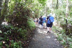 From San Juan: Rainforest Walk, Nature Swim & Luquillo Beach