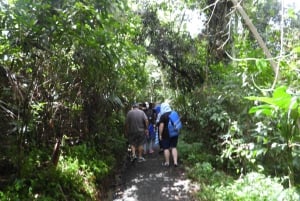 From San Juan: Rainforest Walk, Nature Swim & Luquillo Beach