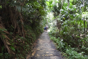From San Juan: Rainforest Walk, Nature Swim & Luquillo Beach