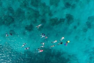 Van San Juan: Vieques-snorkeltour