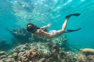 Fra San Juan: Vieques snorklingstur