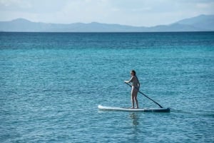 Fra San Juan: Vieques snorkeltur