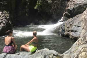 From San Juan: VIP Early Access El Yunque Adventure tour