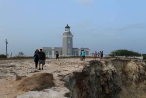 From San Juan: West Side Experience Puerto Rico Day Tour