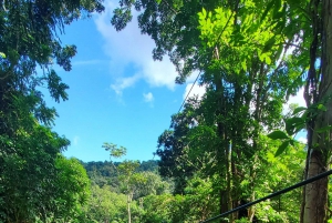 Desde San Juan: Excursión en tirolina, río y playa de Luquillo