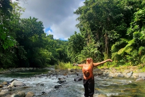 Desde San Juan: Excursión en tirolina, río y playa de Luquillo