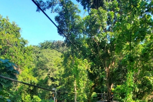 Desde San Juan: Excursión en tirolina, río y playa de Luquillo