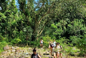 Desde San Juan: Excursión en tirolina, río y playa de Luquillo