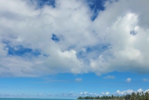 Desde San Juan: Excursión en tirolina, río y playa de Luquillo