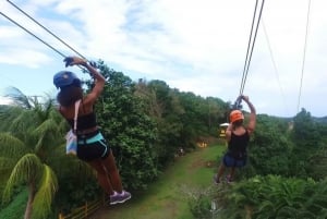 Von San Juan: Zipline Canopy Adventure Tour