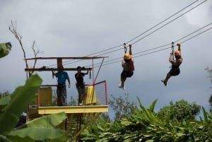 Au départ de San Juan : circuit d'aventure en canopée en tyrolienne