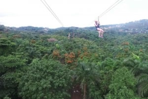 Van San Juan: Zipline Canopy Adventure Tour
