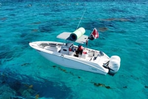 Fajardo: Culebra Private Full Day Boat & Snorkel Experience