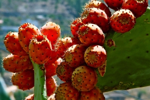 Gran Canaria: 6-Hour Teror and San Mateo Markets Tour